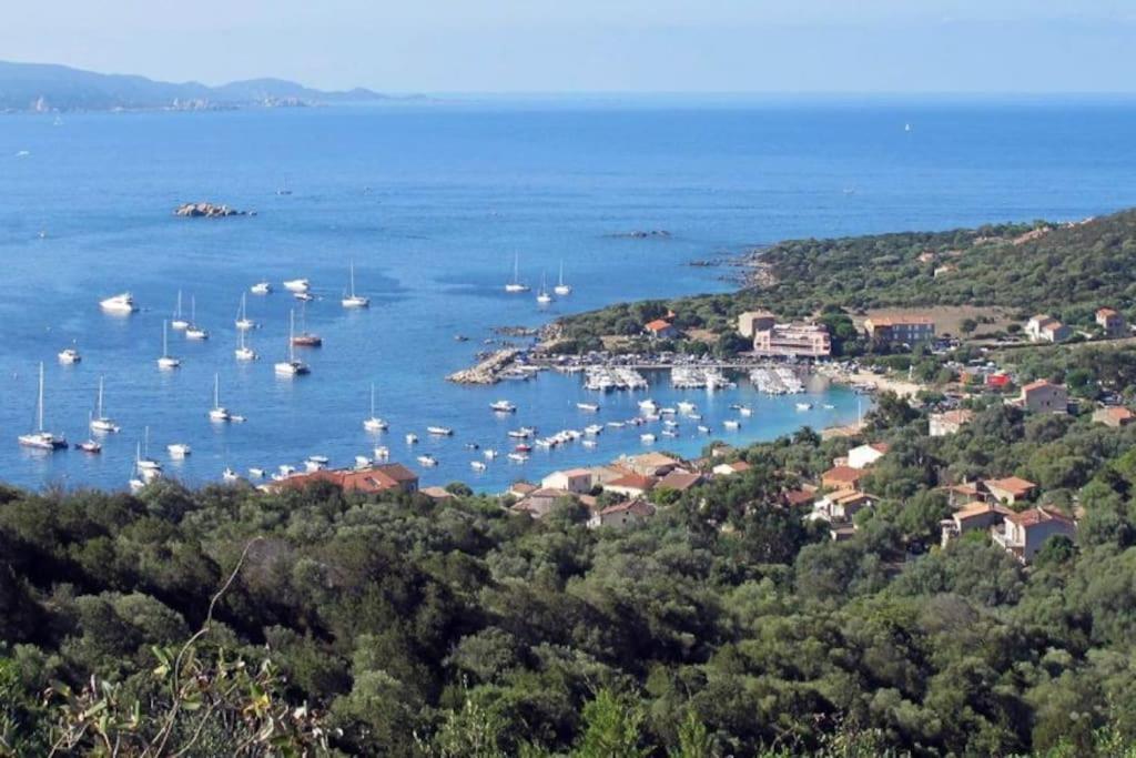 T2 D'Exception 100M Plage Terrasse Vue Mer Et Montagnes Propriano  Exterior photo